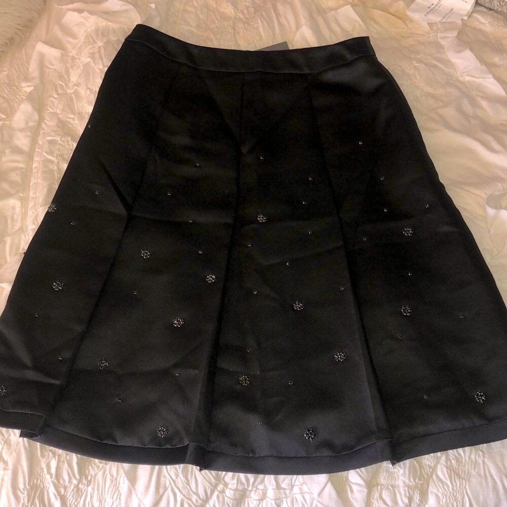 👗 Ann Taylor embellished beaded pleated skirt crystal